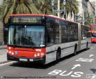 Городской автобус Барселоны